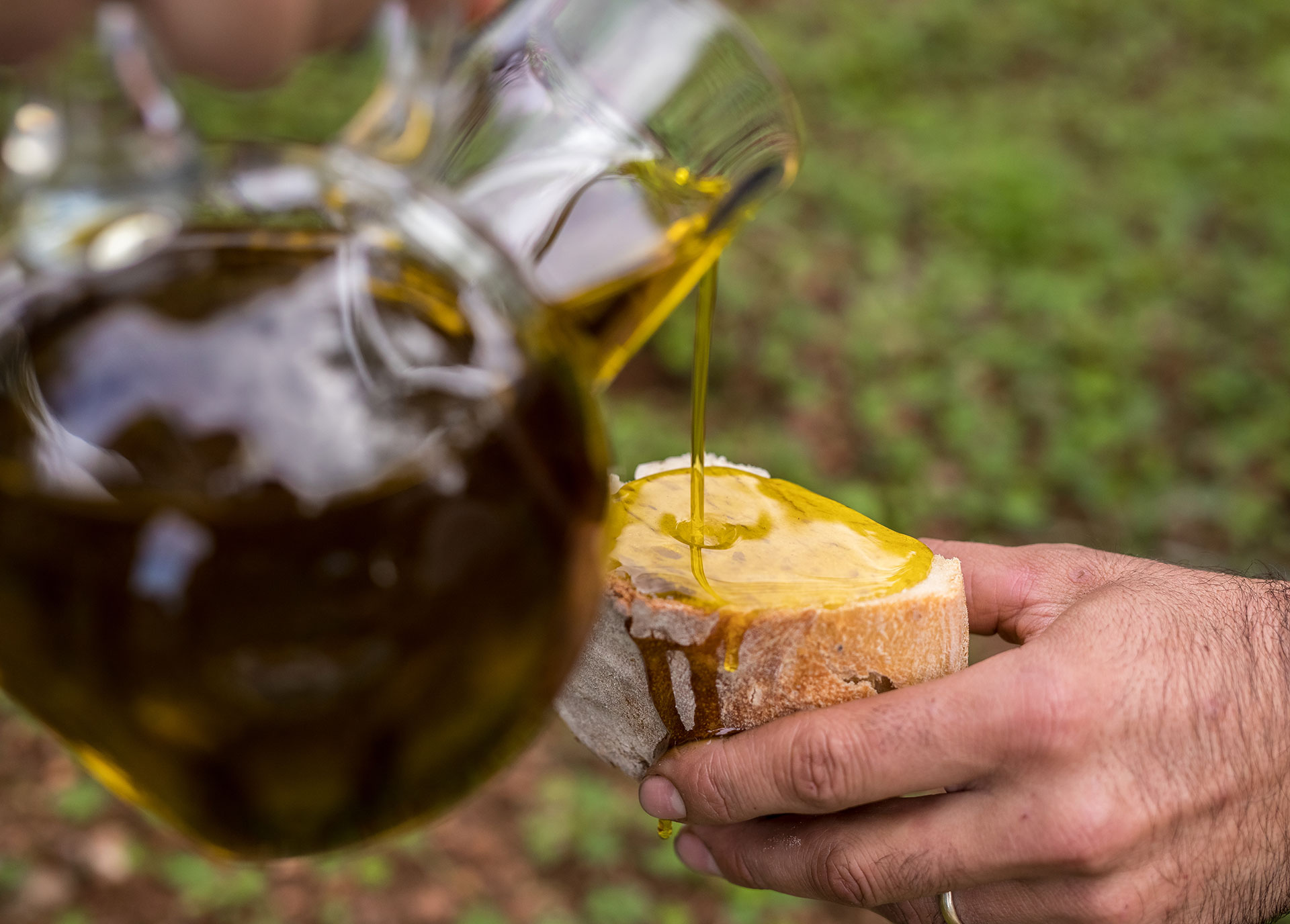 Woran erkennt man gutes Olivenöl? Olivenölverkostung Oblivion Olivenöle